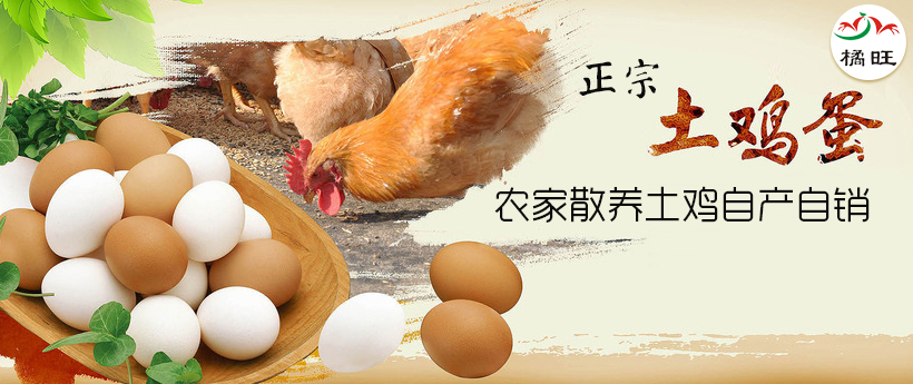 吸血鬼不坏 打破刻板印象的平面设计新作